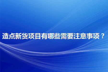 造点新货项目有哪些需要注意事项？