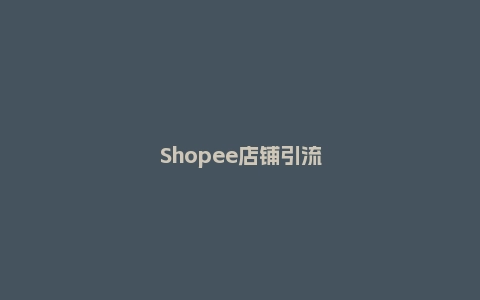 Shopee店铺引流方法是什么？怎么推广？