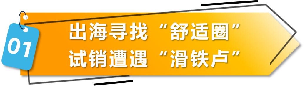 从挥泪甩卖到日销150单，逆风翻盘的亚马逊卖家告诉你那些坑你别踩（上）